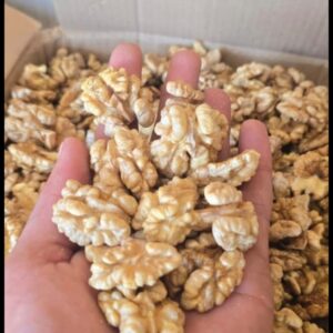 WALNUT